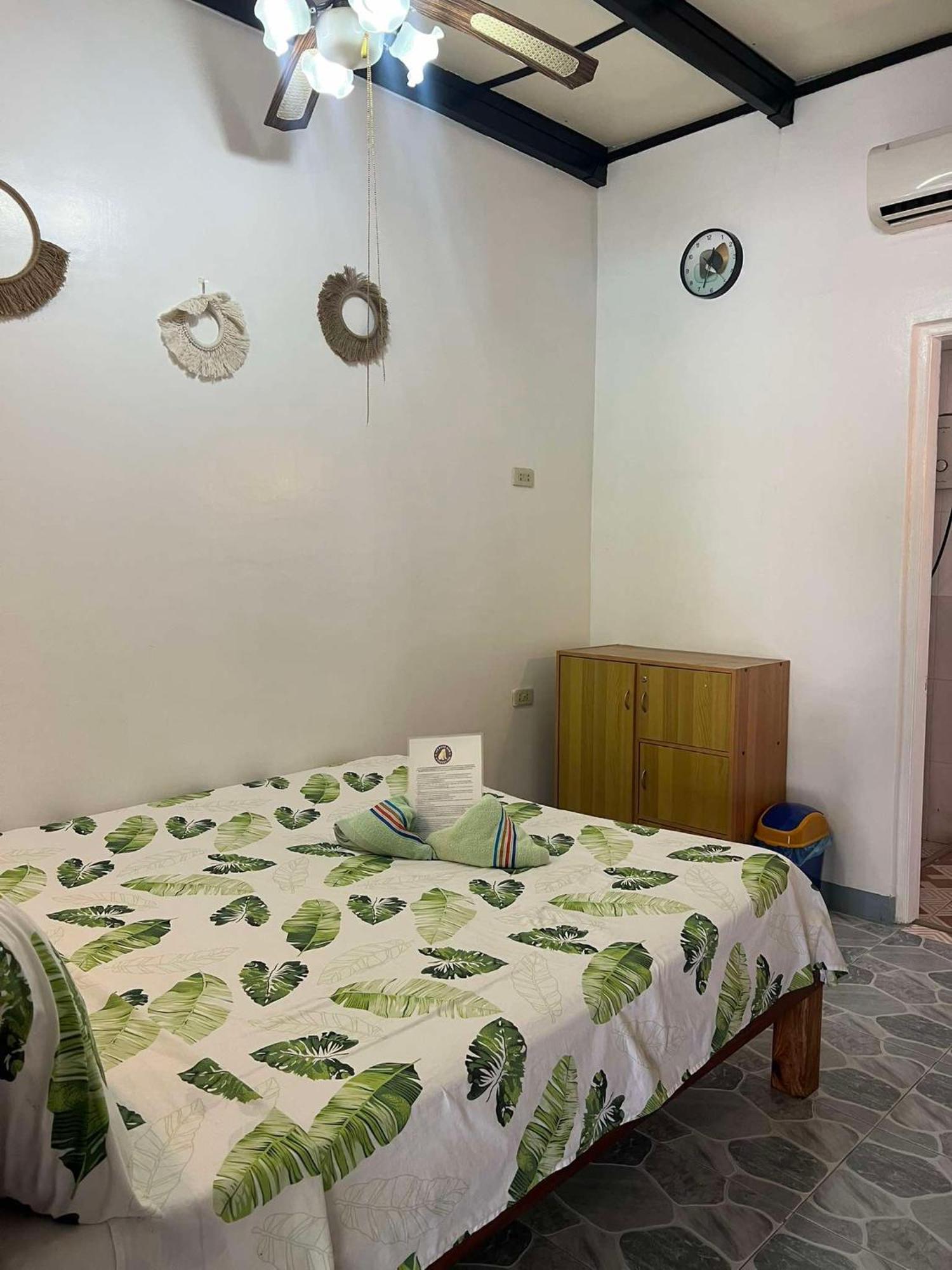 Ice Bear Bar & Tourist Inn Dauis Szoba fotó